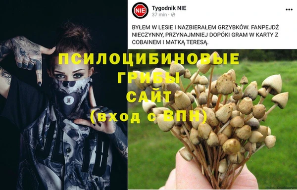 гидра Краснослободск
