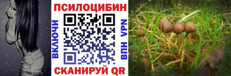 Псилоцибиновые грибы ЛСД  хочу   OMG ONION  Брянск 