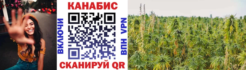 МАРИХУАНА White Widow  Брянск 